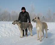 Папа :) Шакира и Хаммер на прогулке